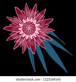 Gerbera or Daisy Isolated. Vector Stylized Flower in Ethnic Style. Beautiful Handwritten Blossom for Tablecloth, Paper, Tile. Vector illustration. African Camomile. Daisy Flower for Pattern. Mandala.