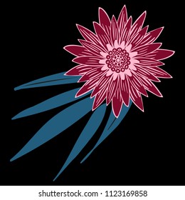 Gerbera or Daisy Isolated. Vector Stylized Flower in Ethnic Style. Beautiful Handwritten Blossom for Tablecloth, Paper, Tile. Vector illustration. African Camomile. Daisy Flower for Pattern. Mandala.