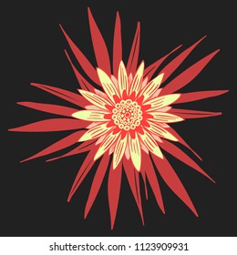 Gerbera or Daisy Isolated. Vector Stylized Flower in Ethnic Style. Beautiful Handwritten Blossom for Tablecloth, Paper, Tile. Vector illustration. African Camomile. Daisy Flower for Pattern. Mandala.