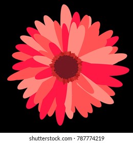 Gerbera Daisy. Vector Flower for Tablecloth, Paper, Tile. Vector illustration. Beautiful Bright Gerbera. Daisies. Floral Background. Vector Illustration. Floral. Gerbera Daisy for the Pattern.