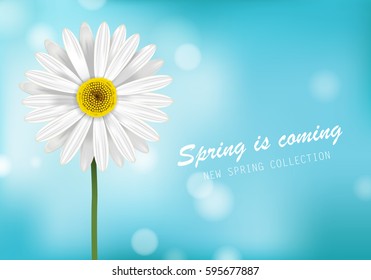 Gerbera daisy,white flower poster and spring is coming lettering.For web site,placard,wallpaper,flyer and backdrop.Also useful for ads,advert,marketing and advertisement