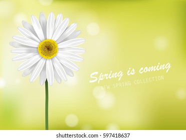 Gerbera daisy,white flower poster and spring is coming lettering.For web site,placard,wallpaper,flyer and backdrop.Also useful for ads,advert,marketing and advertisement