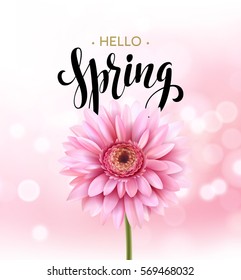 Gerbera Flower Background and Hello Spring Lettering. Vector Illustration EPS10