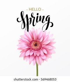 Gerbera Flower Background and Hello Spring Lettering. Vector Illustration EPS10