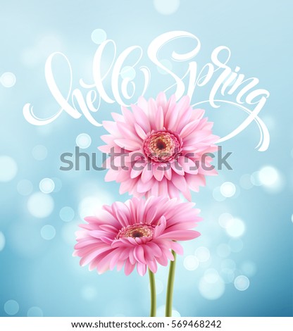 Gerbera Flower Background and Hello Spring Lettering. Vector Illustration EPS10