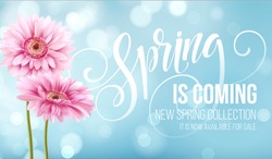Gerbera Fiore Sfondo E Primavera Sta Arrivando Lettering. Illustrazione Vettoriale EPS10