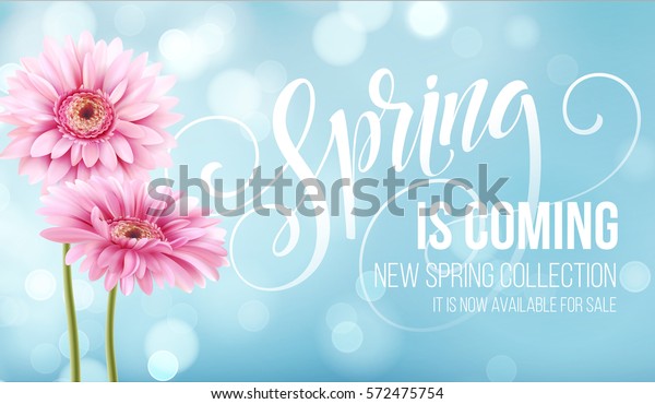 ガーベラの花の背景に春の文字が入ってくる ベクターイラストeps10 のベクター画像素材 ロイヤリティフリー