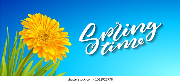 Gerbera Flower Background and Spring Lettering