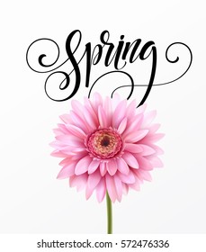 Gerbera Flower Background and Spring Lettering. Vector Illustration EPS10