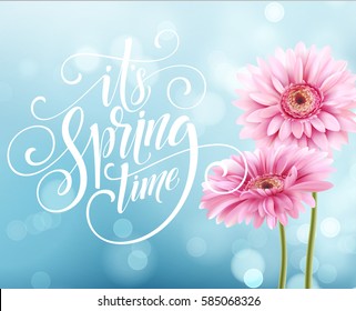 Gerbera Flower Background and Spring Lettering. Vector Illustration EPS10