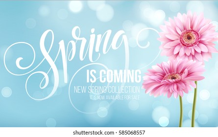 Gerbera Flower Background and Spring Lettering. Vector Illustration EPS10