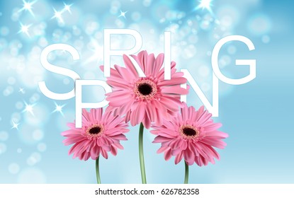 Gerbera flower background and Spring lettering. Vector realistic Illustration EPS10.