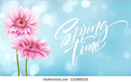 Gerbera Flower Background and Spring time Lettering. Vector Illustration EPS10