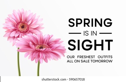 Gerbera Flower Background and Spring typography design. Vector Illustration EPS10