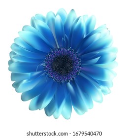 Ilustración EPS10 del vector de fondo de flor Gerbera