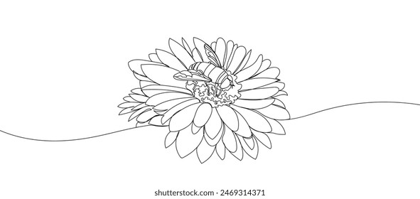 Flor de gerbera con abeja en estilo de dibujo de línea continua única para logotipo o emblema. Ilustración de una flor de línea. Hermoso contorno avispa en una flor manzanilla.