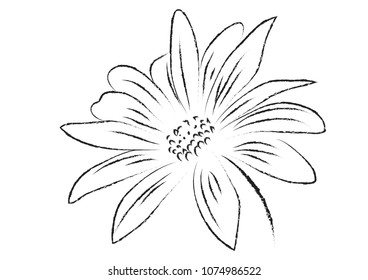 Gerbera flower black and white isolated vector illustration, abstract gerbera flower vector illustration, floral natural styled flower sample