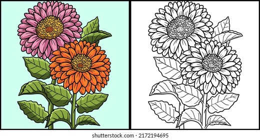 Ilustración de color de página de color de flores Gerbera