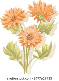 Ilustración de pintura digital de flor de Gerbera