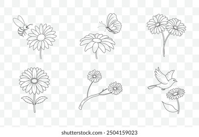 Gerbera Flower Line Art Vector Set Beautiful Detailed Illustrations for Graphic Design Projects