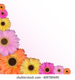 Gerbera Flower Natural Background Vector Illustration EPS10