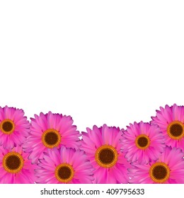 Gerbera Flower Natural Background Vector Illustration EPS10