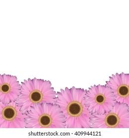 Gerbera Flower Natural Background Vector Illustration EPS10