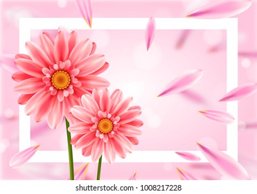 Gerbera flower on bright pink background.