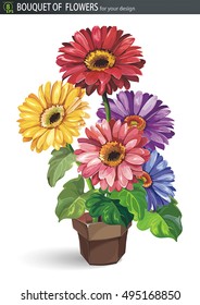 Gerbera flower in a pot isolated on white background