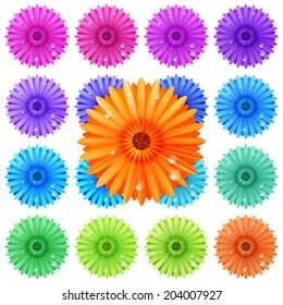 Gerbera flower set isolated on white. plus EPS10 vector file