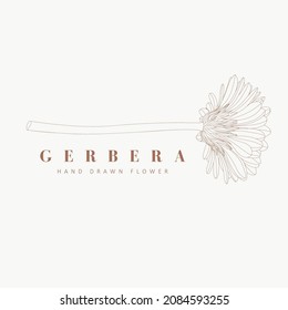 Señales de flores de Gerbera o Plantillas de logotipo. Ilustración floral retro con tipografía clásica. Logo Femenino. Plantilla moderna de logotipo para florista, fotógrafo, blogger de moda, estudio de diseño.