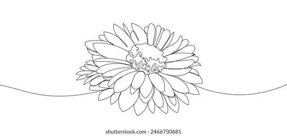 Flor de gerbera en estilo de dibujo de línea continua única para logotipo o emblema. Ilustración de una flor de línea. Hermoso contorno de manzanilla.