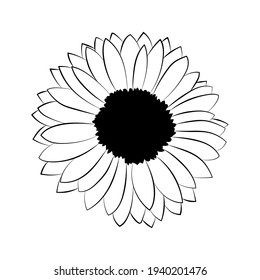 Gerbera flower speaks of passion and deep feelings, making them ideal flowers for lovers. Vector illustration in doodle style. 