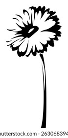 Gerbera flower with a stem isolated on a white background. Vector black and white illustration. Hand-drawn illustration, not AI