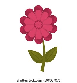 gerbera flower stem leaves vector illustration eps 10