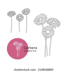 Gerbera flowers are drawn in a minimalistic style with a line. Part of the collection of main flowers. Editable line. Vector illustration
