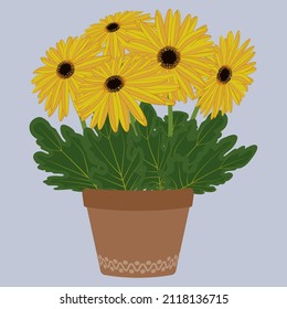 Gerbera flowers in a flower pot vector illustration.