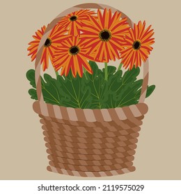 Flores de Gerbera en una ilustración vectorial de mimbre.