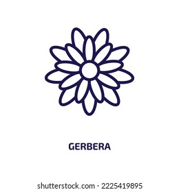 gerbera icon from nature collection. Thin linear gerbera, summer, spring outline icon isolated on white background. Line vector gerbera sign, symbol for web and mobile
