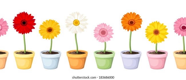 Gerbera in pots. Vector horizontal seamless background.