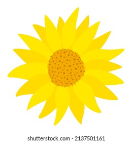 Gerbera einzelne gelbe Blume Vektorgrafik. Blühende gelbe, sonnige Gartenblume. Botanische natürliche abstrakte Dekoration