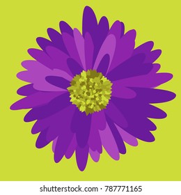 Gerbera. Vector Flower for Tablecloth, Packaging Paper, Tile. Vector illustration. Beautiful Bright Gerbera. Floral Background. Vector Illustration. Floral. Daisies. Gerbera for the Pattern.