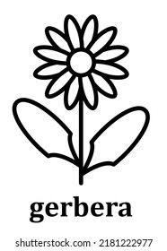 Gerbera vector linear icon. Gerbera flower petal line and branch with leaves. Simple minimal illustration linear style for mobile concept, web design and more. Pixel perfect vector graphics.