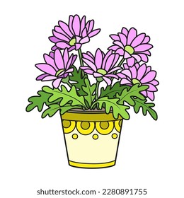 Gerberas or daisies in pot color variation for coloring book isolated on white background