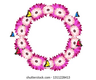 Gerberas flowers frame