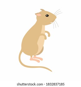 Gerbil sitting on his feet. Vector illustration isolated.