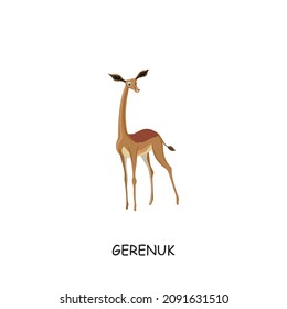 Gerenuk, African animal. Vector illustration isolated on white background.