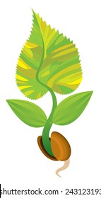 germ sprouted from seeds - vector illustration