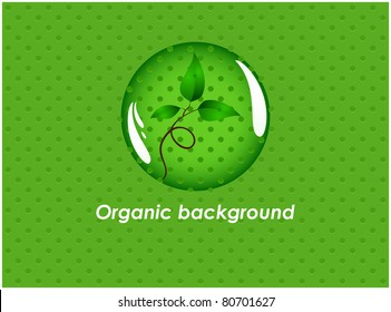 Germ under a glass circle located on the abstract green background