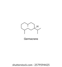 Germacrane skeletal structure.Sesquiterpene compound schematic illustration. Simple diagram, chemical structure.